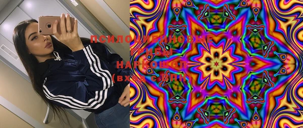 хмурый Балахна