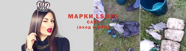 гашик Касимов
