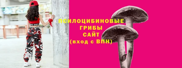 хмурый Балахна