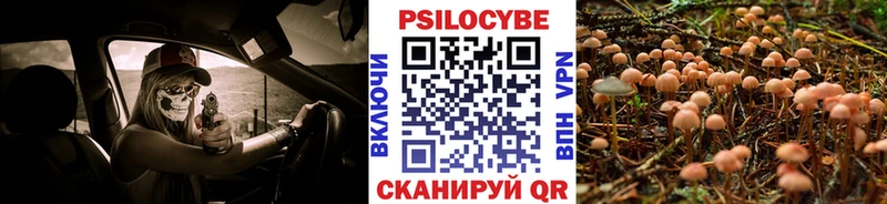 Галлюциногенные грибы прущие грибы  Голицыно 